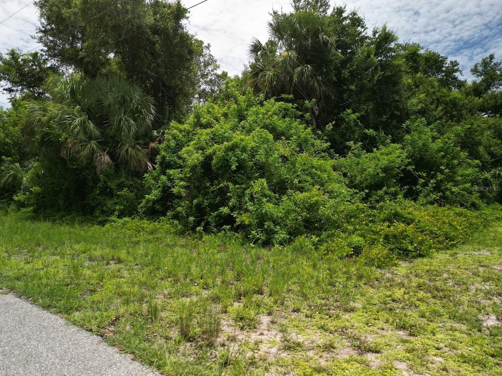 20053 Armstrong Ave, Port Charlotte, FL 33954 - photo 1