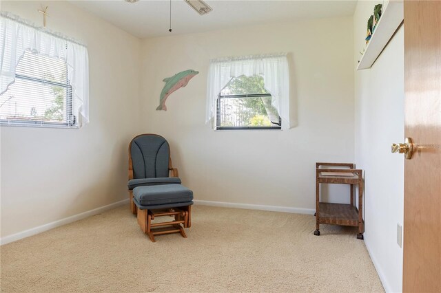 13523 Drysdale Ave, Port Charlotte, FL 33981 - photo 24