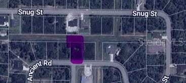 Ancient Rd, North Port, FL 34286 - photo 2