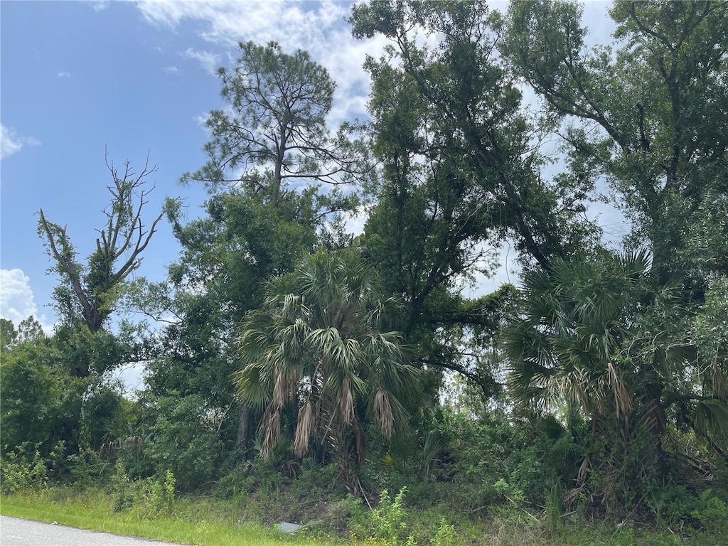 Bellafonte Ave, North Port, FL 34286