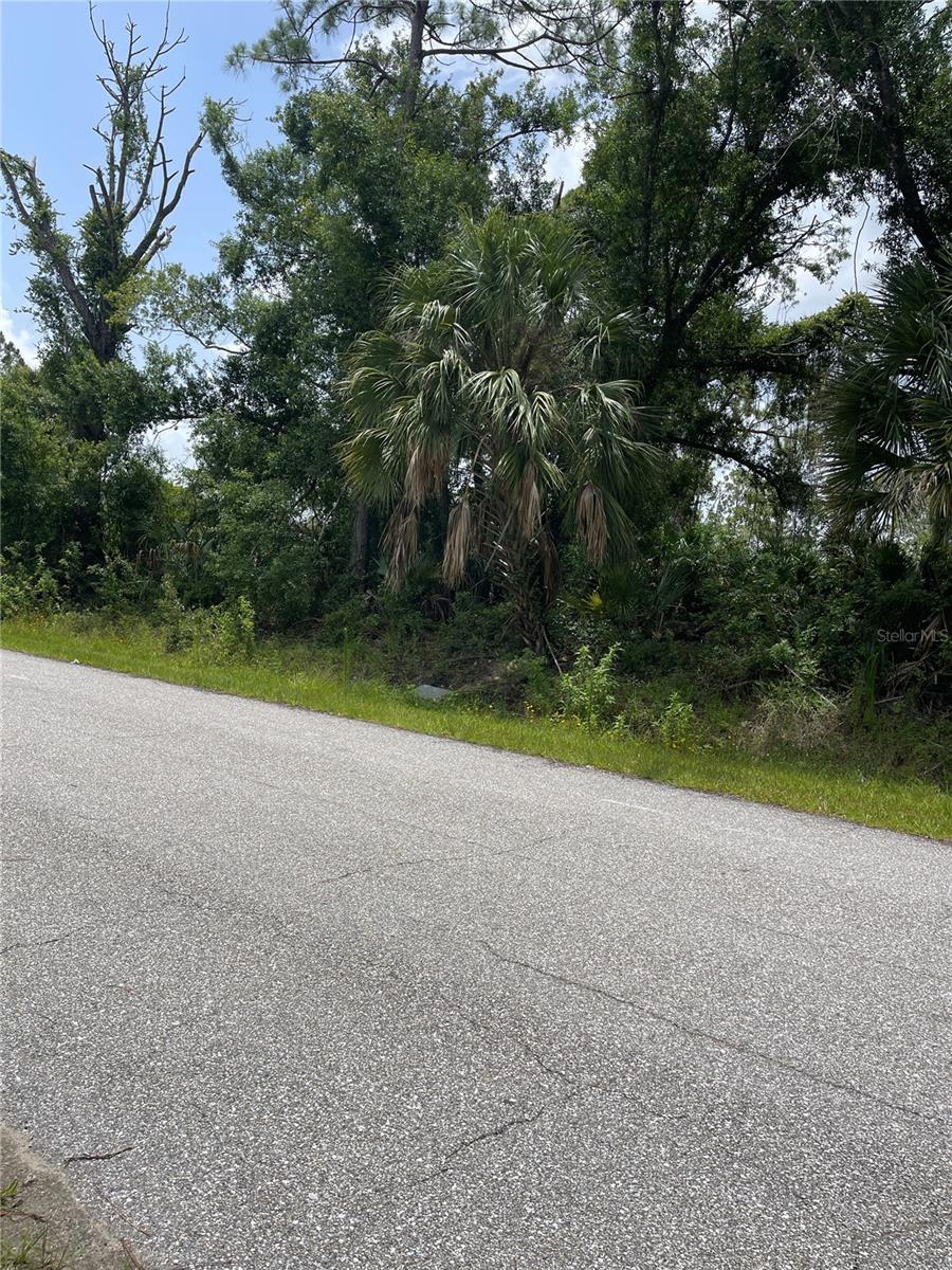Bellafonte Ave, North Port, FL 34286