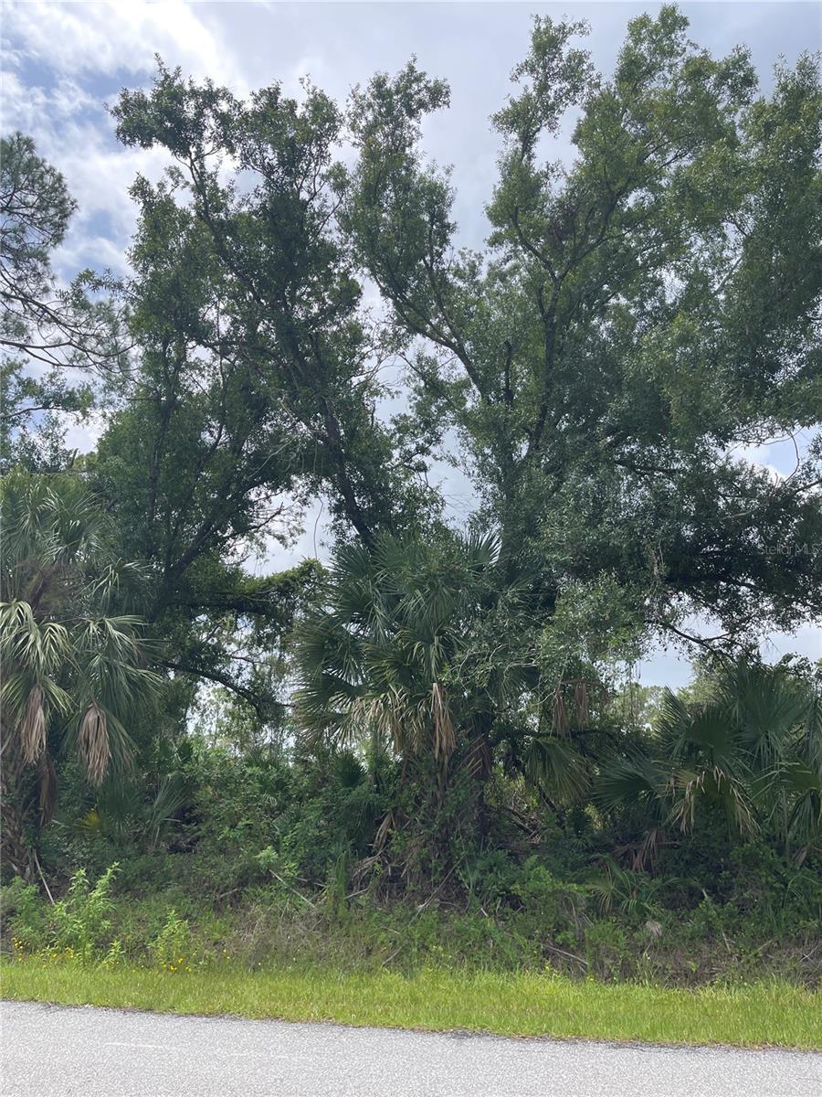 Bellafonte Ave, North Port, FL 34286