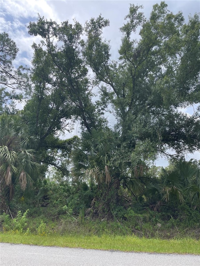 Bellafonte Ave, North Port, FL 34286