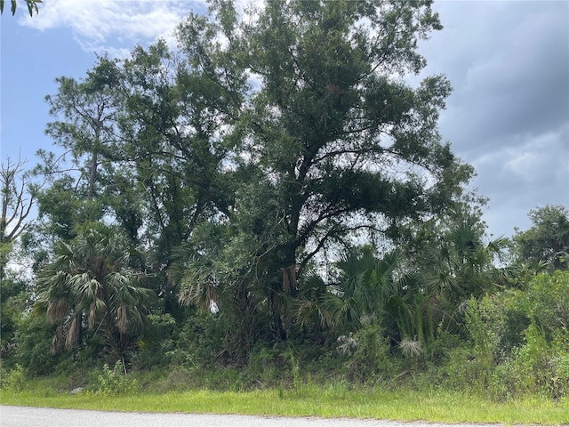 Bellefonte, North Port, FL 34286 - photo 2