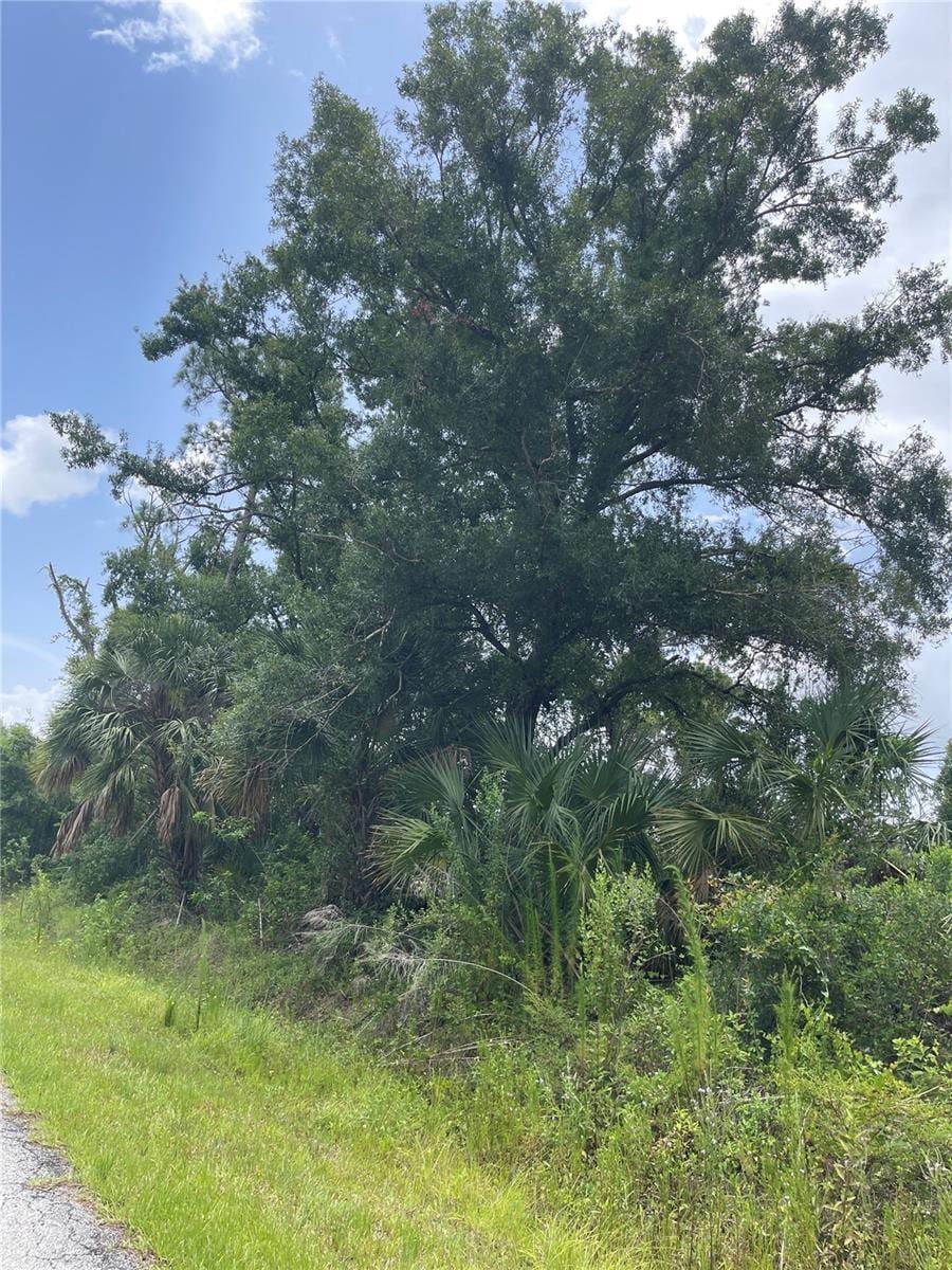 Bellefonte, North Port, FL 34286 - photo 3
