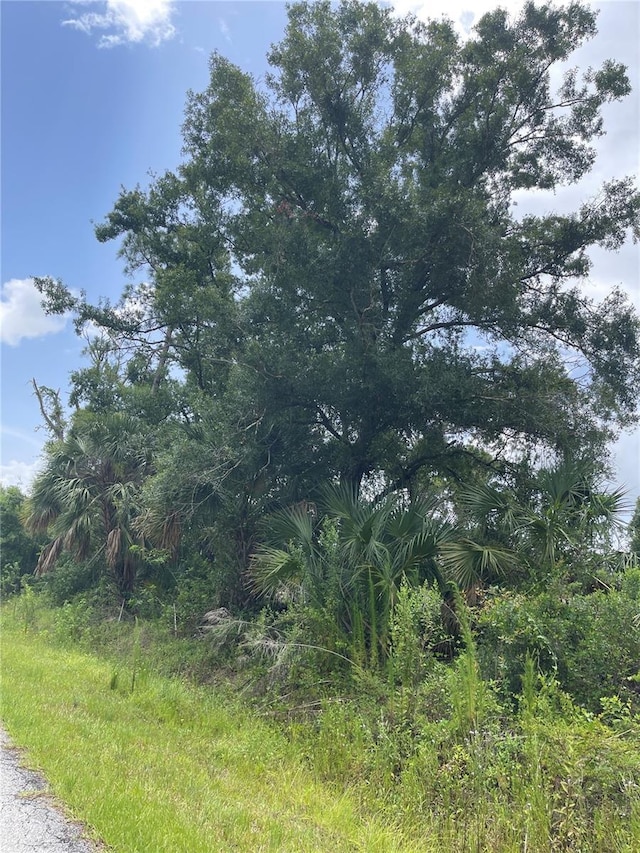 Bellefonte, North Port, FL 34286 - photo 3