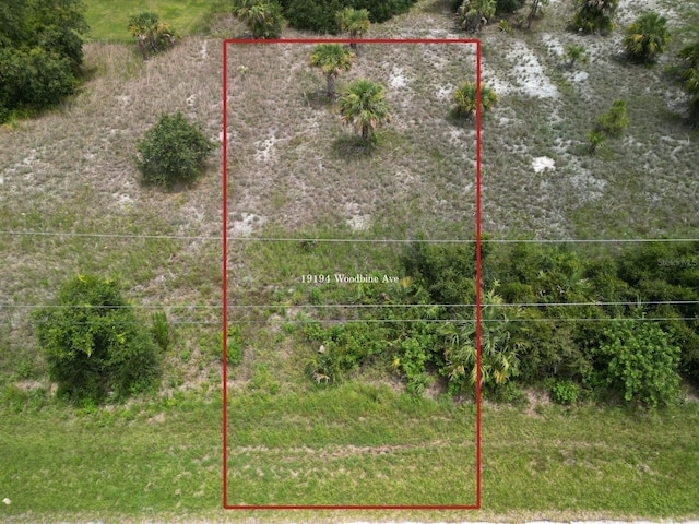 19194 Woodbine Ave, Port Charlotte, FL 33954