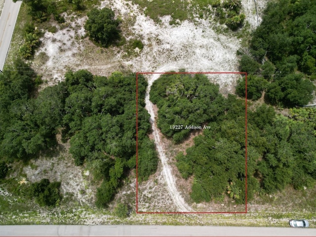 19227 Addison Ave, Port Charlotte, FL 33954 - photo 3