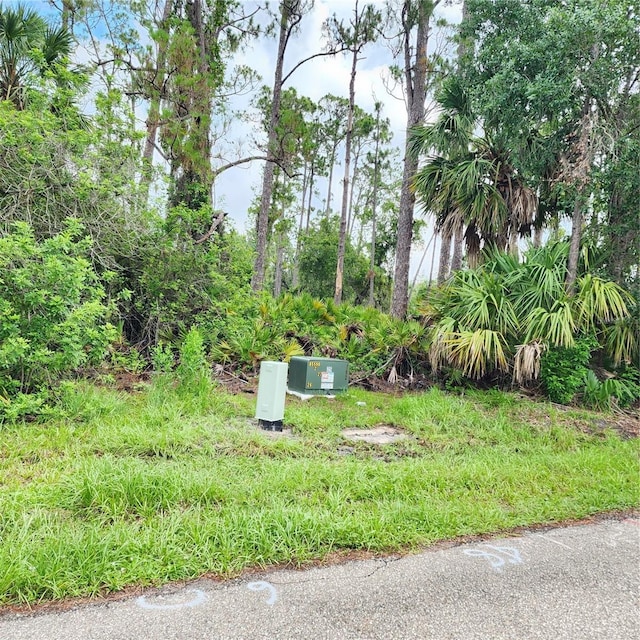 23016 Delhi Ave, Port Charlotte, FL 33952