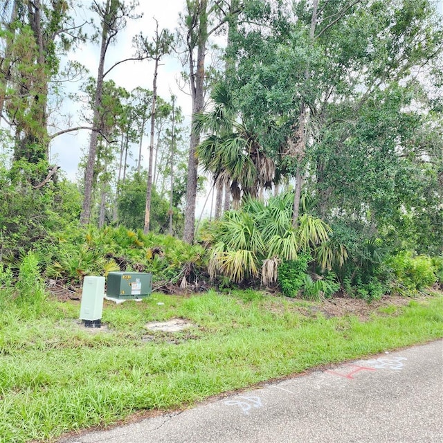 23016 Delhi Ave, Port Charlotte, FL 33952