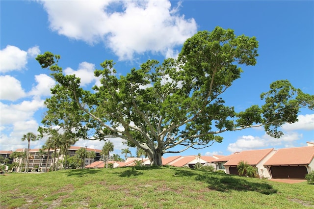 25188 Marion Ave Unit 24, Punta Gorda, FL 33950 - view of green lawn