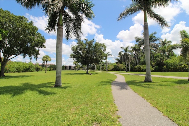 25188 Marion Ave Unit 24, Punta Gorda, FL 33950 - surrounding community with a lawn