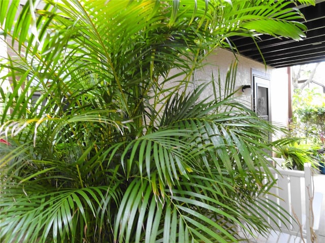 4022 Beaver Ln Unit 700B, Port Charlotte, FL 33952 - exterior view of stucco siding