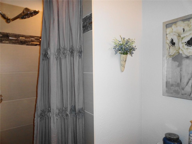 4022 Beaver Ln Unit 700B, Port Charlotte, FL 33952 - full bathroom with curtained shower