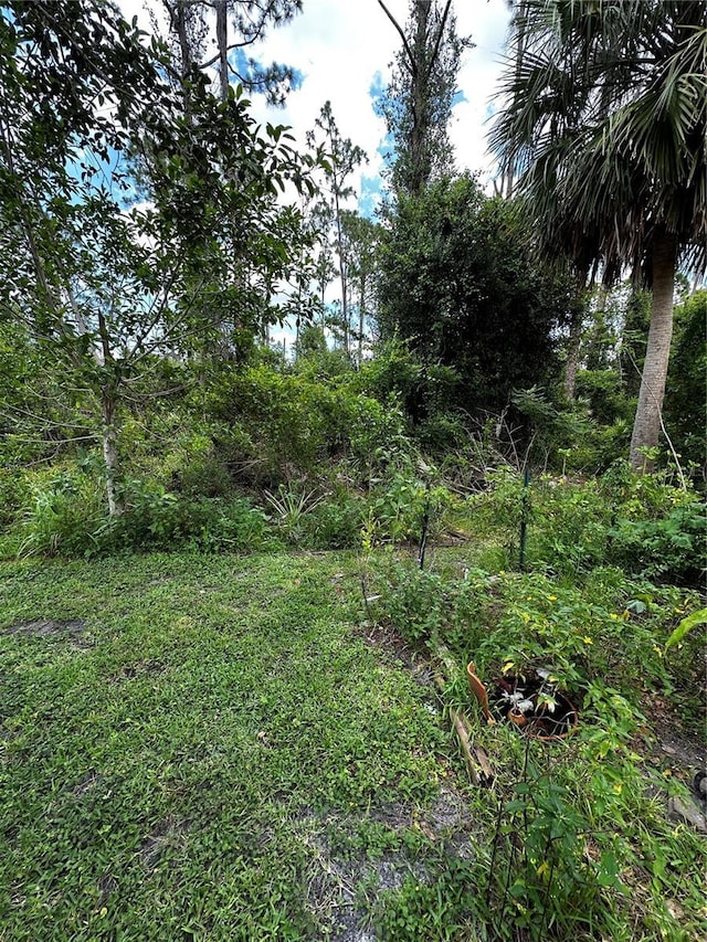 2942 Traverse Ave, North Port, FL 34286 - view of yard
