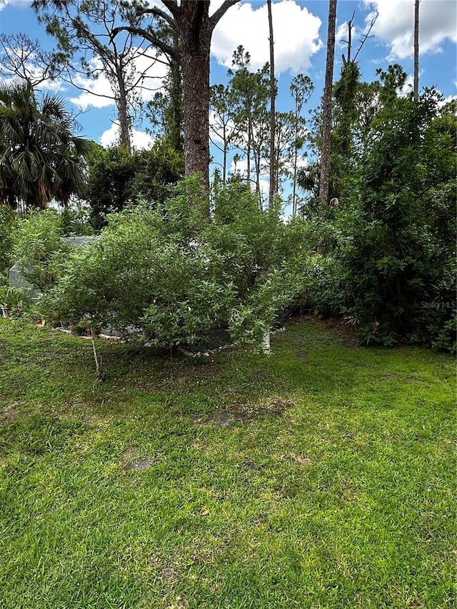2942 Traverse Ave, North Port, FL 34286 - view of green lawn