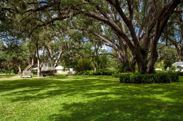 3990 NE Ashley Ter, Arcadia, FL 34266 - view of grassy yard