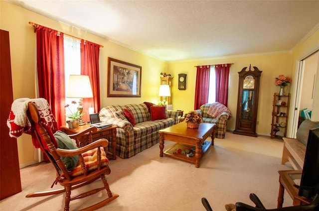 3990 NE Ashley Ter, Arcadia, FL 34266 - living area featuring ornamental molding and carpet