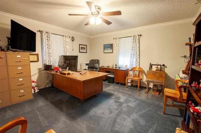 3990 NE Ashley Ter, Arcadia, FL 34266 - home office with a ceiling fan, ornamental molding, plenty of natural light, dark colored carpet, and a textured ceiling