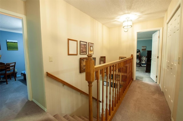 3990 NE Ashley Ter, Arcadia, FL 34266 - hall with carpet floors, an upstairs landing, a textured ceiling, and ornamental molding