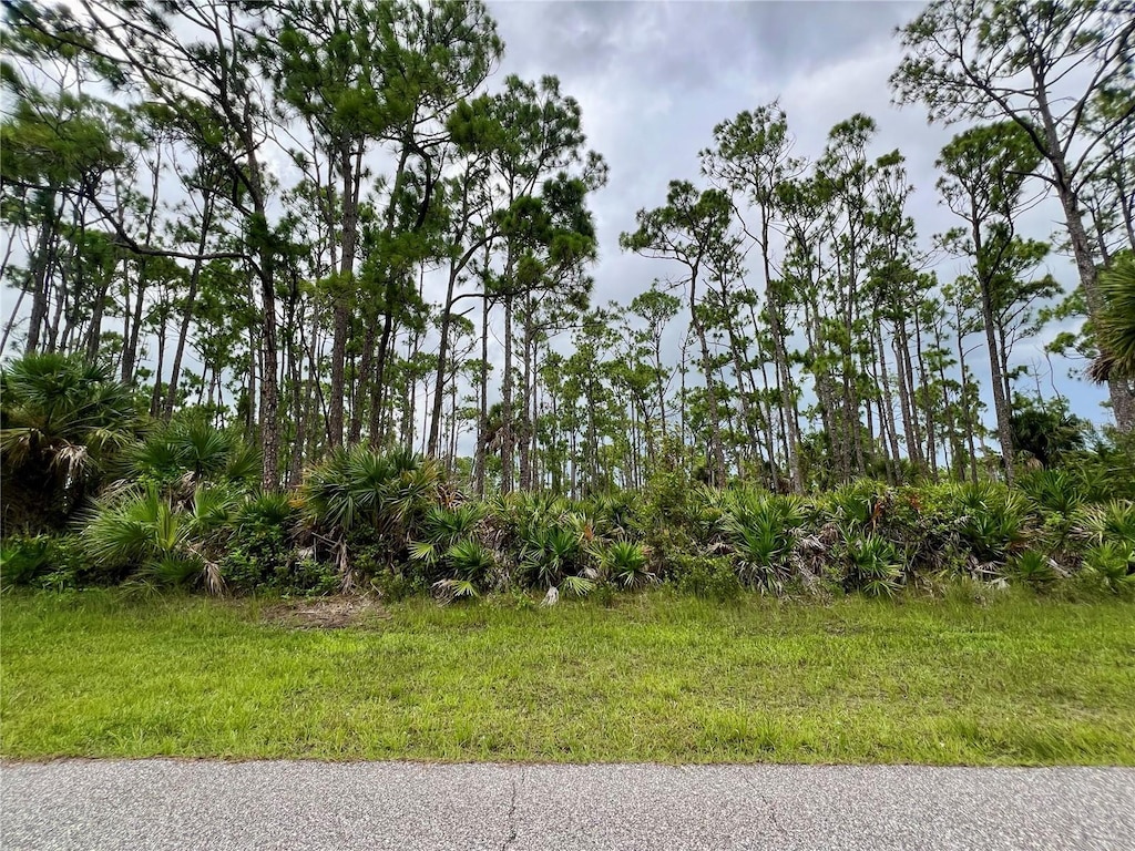 13232 Finkle Ave, Port Charlotte, FL 33981