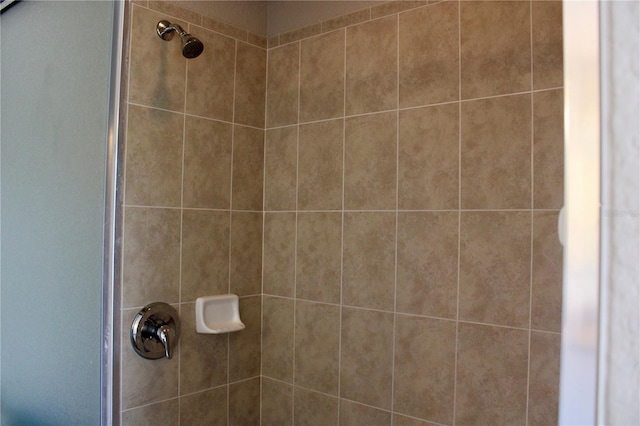 8039 Agate St, Port Charlotte, FL 33981 - bathroom view of tiled shower