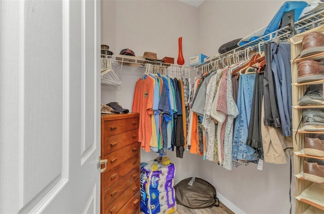 771 Rotonda Cir, Rotonda West, FL 33947 - walk in closet with wood finished floors