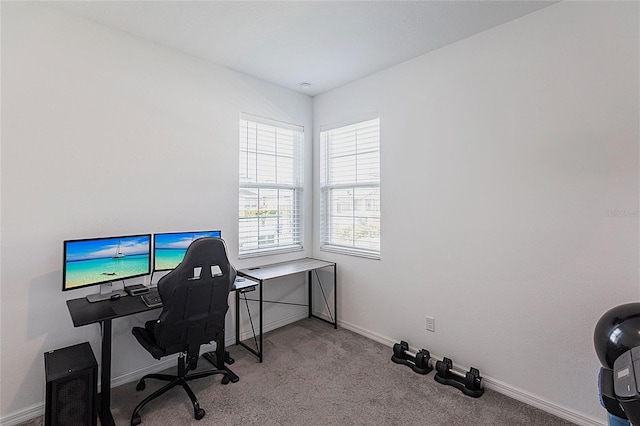 8516 Cache Dr, Sarasota, FL 34240 - office space featuring baseboards and carpet flooring