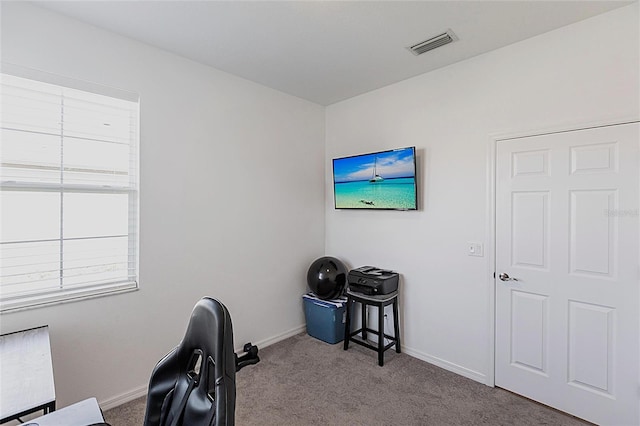 8516 Cache Dr, Sarasota, FL 34240 - office with carpet floors