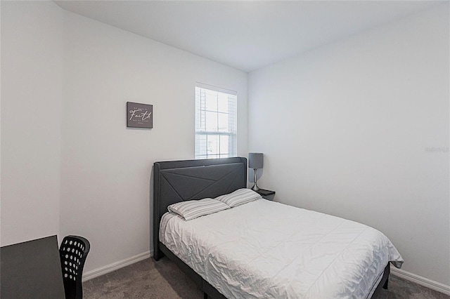 8516 Cache Dr, Sarasota, FL 34240 - bedroom with carpet floors