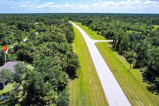 1710 Blackwood Cir, North Port, FL 34288 - bird's eye view of a forest