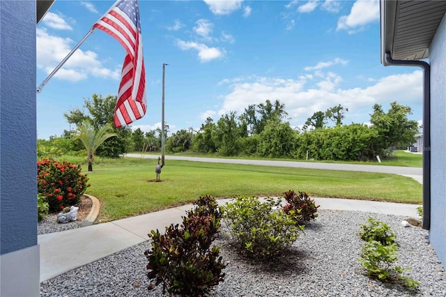 13416 Trascoro Ln, Port Charlotte, FL 33981 - view of grassy yard