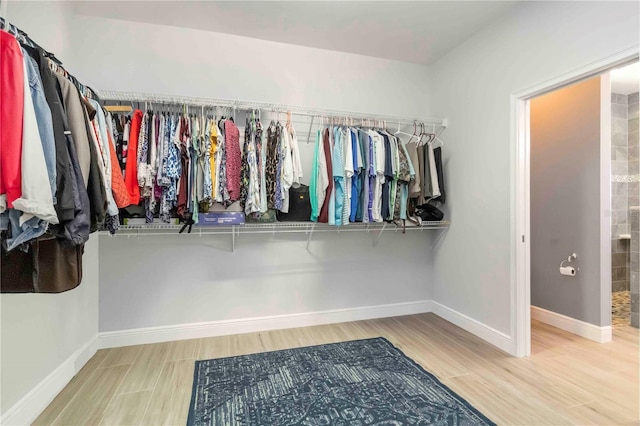 13416 Trascoro Ln, Port Charlotte, FL 33981 - spacious closet with wood finished floors