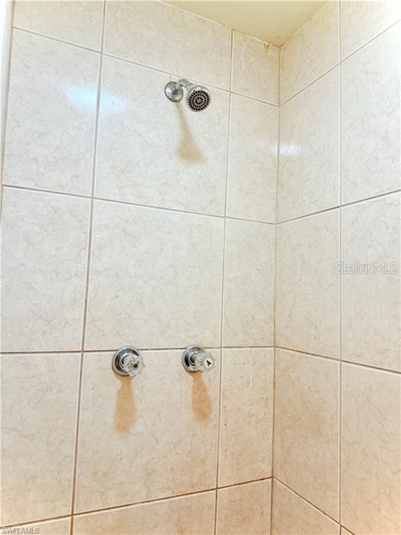 3902 Locust Ave, Sarasota, FL 34234 - bathroom view of a tile shower