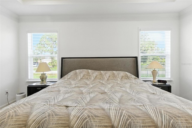 2456 Nabble Ln, North Port, FL 34288 - bedroom featuring multiple windows and crown molding