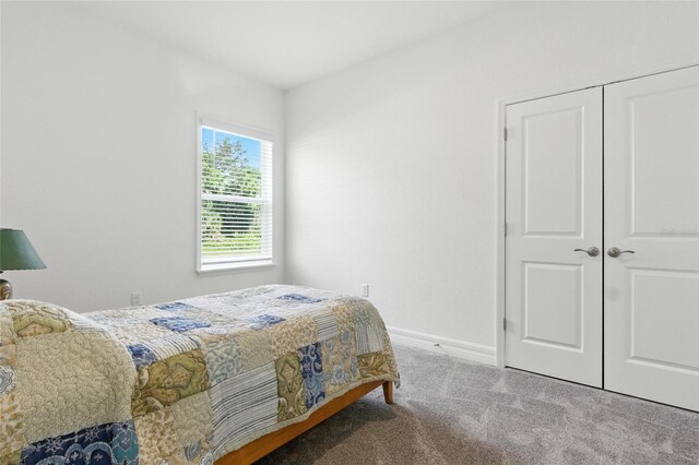 2456 Nabble Ln, North Port, FL 34288 - bedroom with carpet floors and a closet