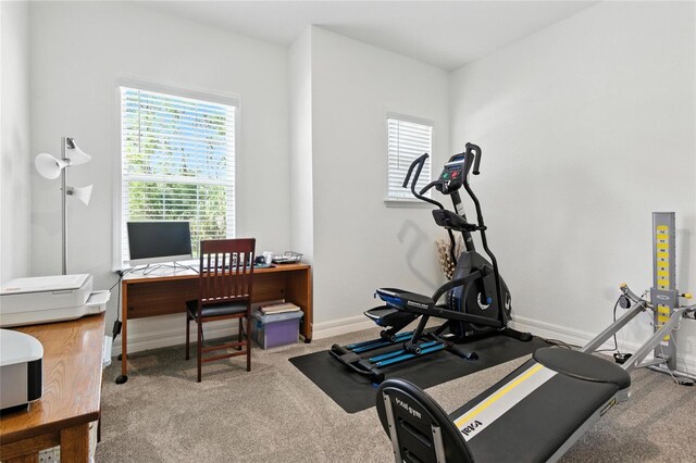 2456 Nabble Ln, North Port, FL 34288 - workout room with carpet flooring and baseboards