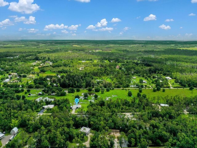 9761 Councilor Ln, North Fort Myers, FL 33917 - bird's eye view of a forest