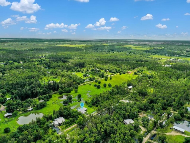 9761 Councilor Ln, North Fort Myers, FL 33917 - drone / aerial view of a forest