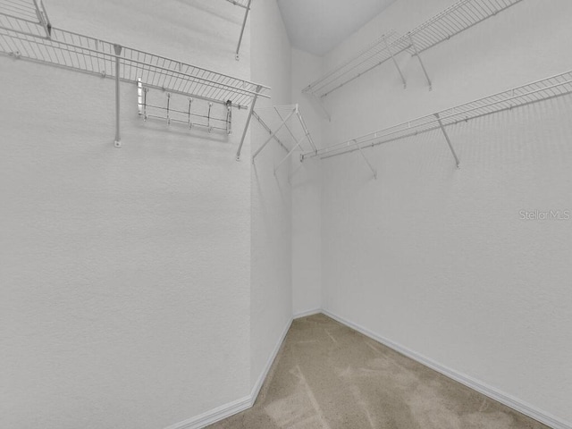 2040 Embarcadero Way N, Fort Myers, FL 33917 - spacious closet featuring carpet flooring