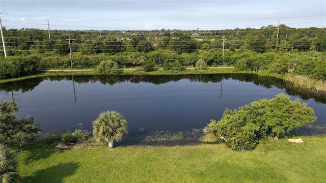 12779 SW Pembroke Cir N, Lake Suzy, FL 34269 - photo 3