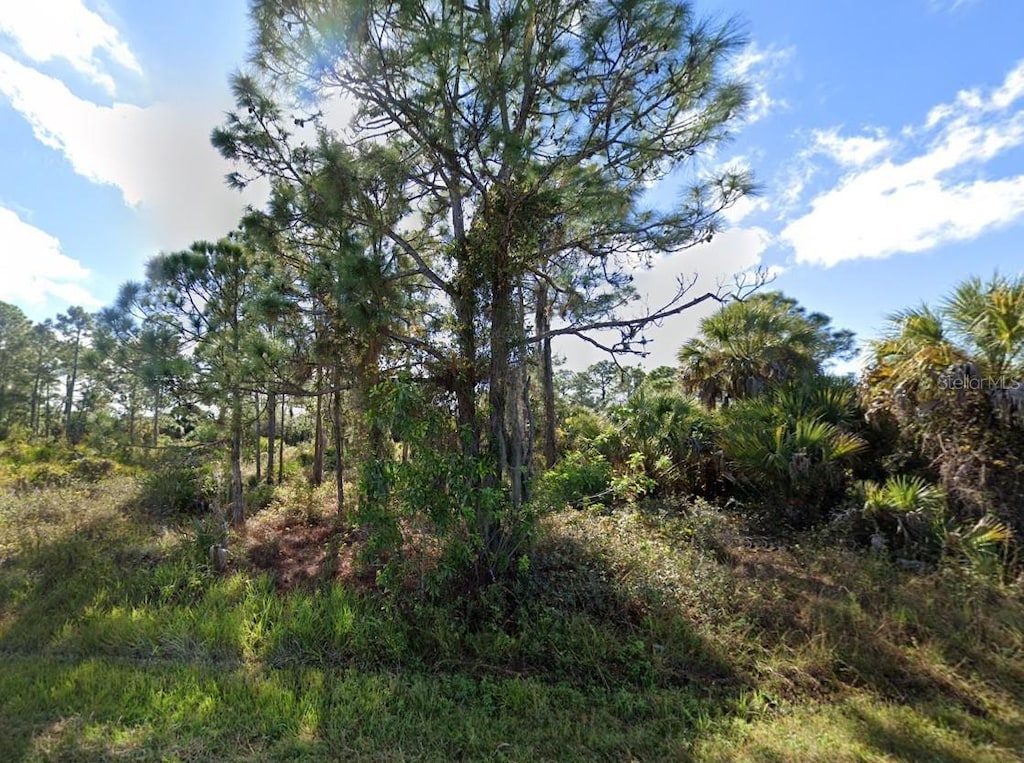 26321 Flower Rd, Punta Gorda, FL 33955 - photo 3
