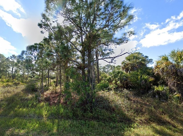 26321 Flower Rd, Punta Gorda, FL 33955 - photo 3