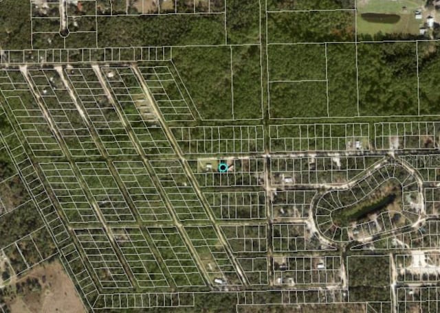 711 Hickory Nut Trl, Satsuma, FL 32189 - photo 3