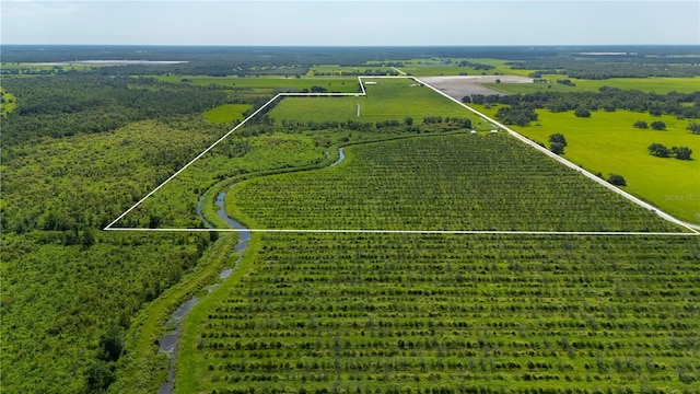 9480 Gough Rd, Ona, FL 33865 - photo 10