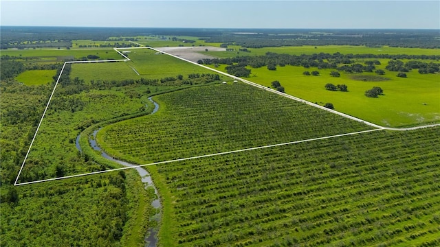 9480 Gough Rd, Ona, FL 33865 - photo 11
