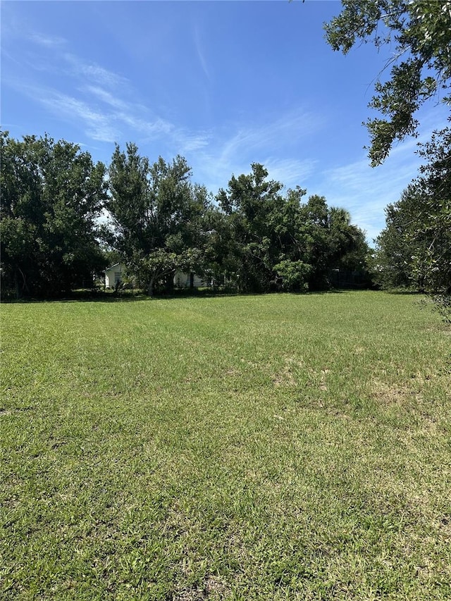 413 E Henry St, Punta Gorda, FL 33950 - photo 9