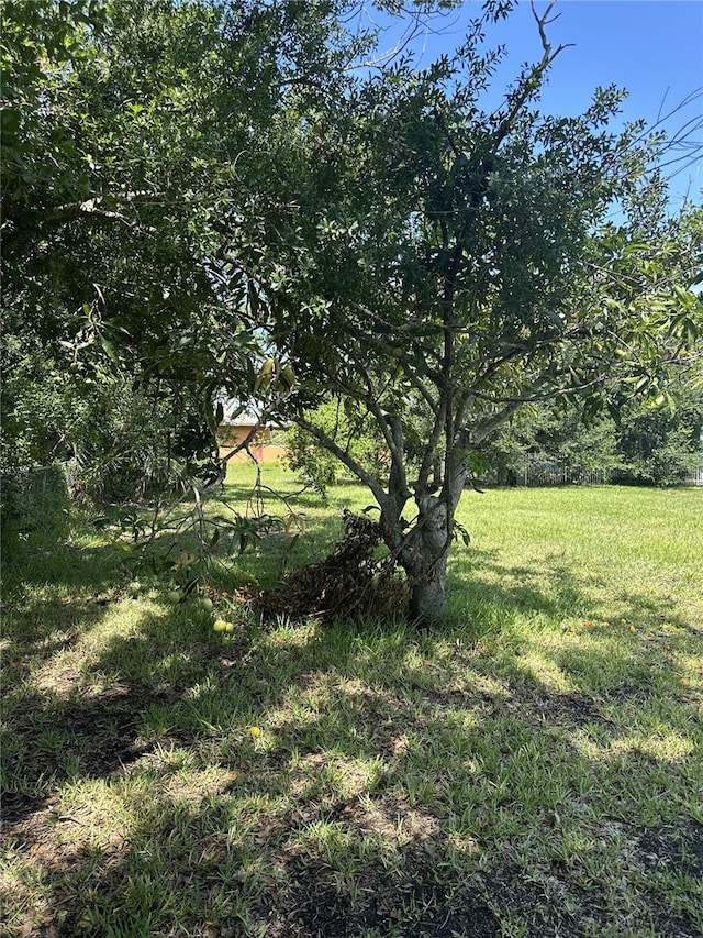 413 E Henry St, Punta Gorda, FL 33950 - photo 17