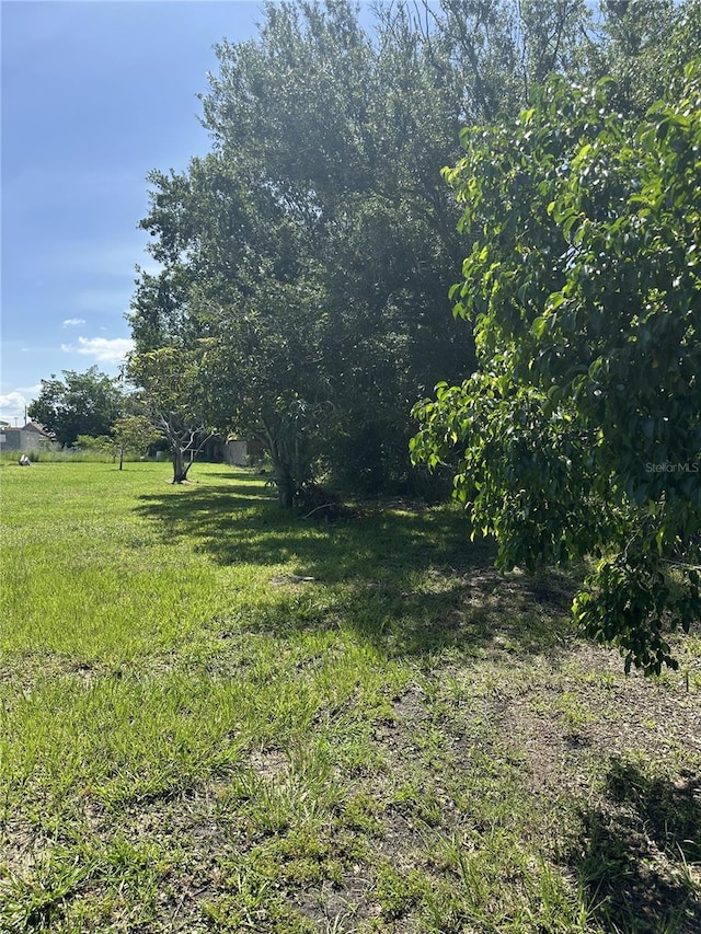 413 E Henry St, Punta Gorda, FL 33950 - photo 23