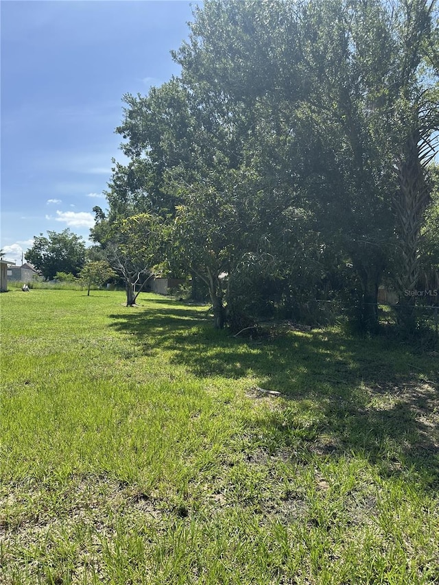 413 E Henry St, Punta Gorda, FL 33950 - photo 24